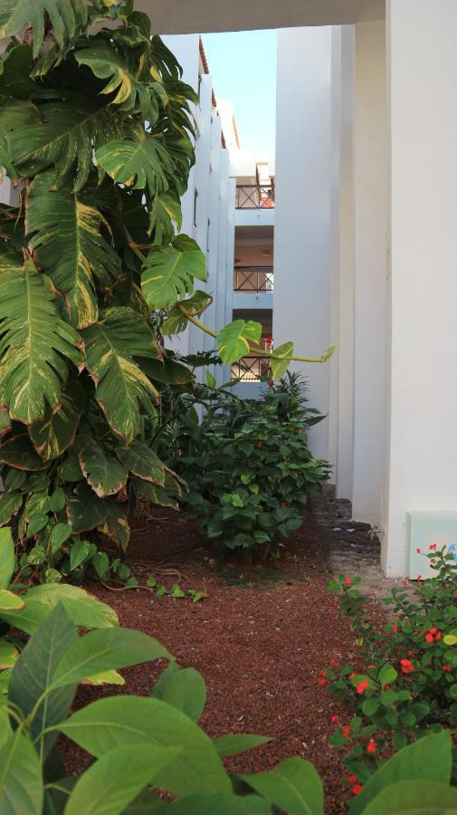 Apartamento En Tenerife Sur, Parque Santiago 2 Arona  Exteriör bild